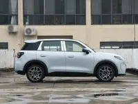 Профіль правий